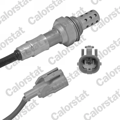 Oxygen Sensor